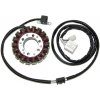 Alternátory ELECTROSPORT vinutí alternátoru (stator) YAMAHA T-MAX 500 (01-11) (ESG836)