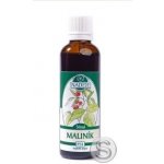 Naděje Maliník tinkura z pupenů 50 ml – Hledejceny.cz