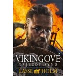 Vikingové - Nájezdy synů - Holm Lasse – Hledejceny.cz