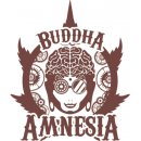 Buddha Seeds Amnesia semena neobsahují THC 5 ks