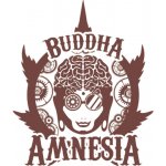 Buddha Seeds Amnesia semena neobsahují THC 1 ks – Zboží Dáma