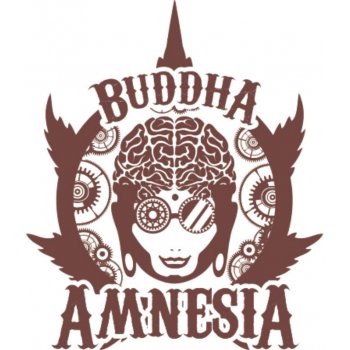 Buddha Seeds Amnesia semena neobsahují THC 5 ks
