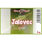 Bylinné kapky Gemmoterapie Jalovec pupeny tinktura z pupenů 5 ml – Hledejceny.cz