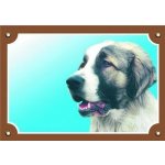 Dafiko Tabulka kavkazský ovčák – Zboží Dáma