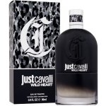 Roberto Cavalli Just Cavalli Wild Heart toaletní voda pánská 90 ml – Hledejceny.cz