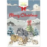 Natureland Adventní kalendář pro hlodavce 0,36 kg – Hledejceny.cz