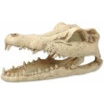 Repti Planet Krokodýl lebka 13,8 x 6,8 x 6,5 cm – HobbyKompas.cz