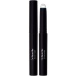 Dr. Hauschka Decorative Korektor 02 Chesnut 2,5 ml – Zboží Mobilmania