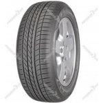 Goodyear Eagle F1 Asymmetric 255/55 R20 110W – Hledejceny.cz