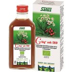 Salus Hloh šťáva EKO 200 ml – Hledejceny.cz