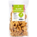 Allnature Sloni jablko + skořice 80 g – Zbozi.Blesk.cz