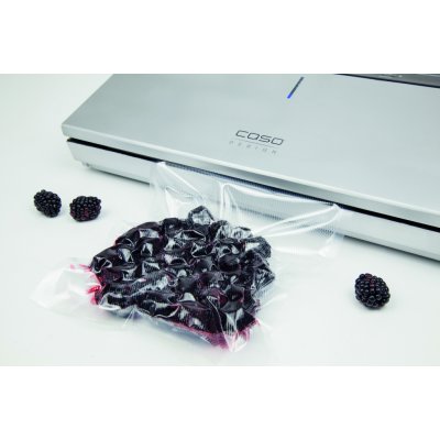 CASO VACUUM SEALER 480 1387 – Zbozi.Blesk.cz