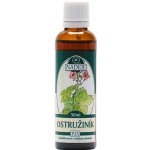 Naděje Ostružiník tinktura z pupenů 50 ml – Hledejceny.cz