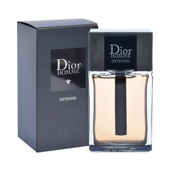 Christian Dior Intense 2011 parfémovaná voda pánská 100 ml