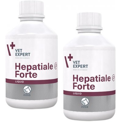 Hepatiale Forte Liquid 250 ml – Zbozi.Blesk.cz