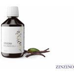 Zinzino BalanceOil 100 ml Pomeranč Rybí tuk – Zbozi.Blesk.cz