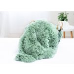 MKLuzkoviny.cz chlupatá deka Agnello mátová 200x220 – Zboží Dáma MKLuzkoviny.cz chlupatá deka Agnello mátová 200x220 – Zboží Dáma