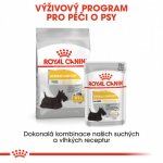 Royal Canin Mini Dermacomfort 2 kg – Hledejceny.cz