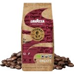 Lavazza Tierra Bio Organic Intenso zrnková 1 kg – Hledejceny.cz