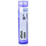 ALLIUM CEPA POR 30CH GRA 1X4G – Hledejceny.cz