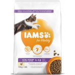 Iams ProActive Health Kitten 10 kg – Zbozi.Blesk.cz