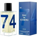 Iceberg Eau de Iceberg Cedar toaletní voda pánská 100 ml – Hledejceny.cz