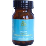 Healing Nature BIO Ašvaganda Vitalita 60 kapslí – Hledejceny.cz