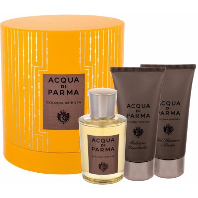 Acqua Di Parma Colonia Intensa kolínská voda pánská 100 ml – Hledejceny.cz