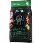 Fitmin For Life Adult All Breeds Lamb & Rice 12 kg – Zboží Mobilmania