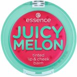 essence juicy melon balzám na rty a tváře 3 g – Zbozi.Blesk.cz