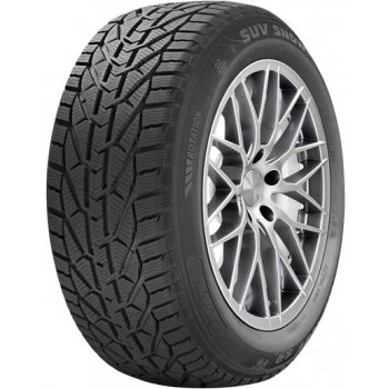 Riken Snow 225/45 R17 94V