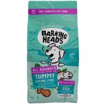 Barking Heads All Hounder Tummy Lovin' Care Fish 12 kg – Hledejceny.cz