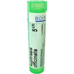 EUPHRASIA OFFICINALIS POR 5CH GRA 1X4G – Hledejceny.cz