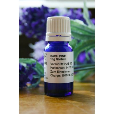 Bachovy květové esence Pine Globuli 10 g – Hledejceny.cz