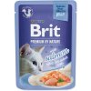 Kapsička pro kočky Brit Premium by Nature Delicate Fillets in Jelly losos 85 g