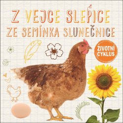 Z vejce slepice, ze semínka slunečnice - Životní cyklus