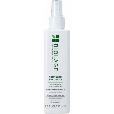 Biolage Strength Recovery Strenght Recovery posilující sprej pro poškozené vlasy 250 ml – Hledejceny.cz