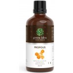 Green idea Propolis tinktura 50 ml – Hledejceny.cz