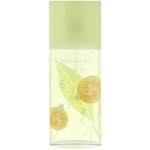 Elizabeth Arden Green Tea Yuzu toaletní voda dámská 100 ml tester