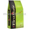 Granule pro psy FirstMate Lamb & Rice 15 kg