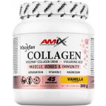 Amix Viscofan Collagen drink vanilla 300 g – Hledejceny.cz