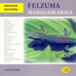 Čo sa deje v mojej hlave? – Hledejceny.cz