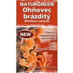 Naturgreen Ohňovec brázditý Phellinus Linteus 120 kapslí – Hledejceny.cz