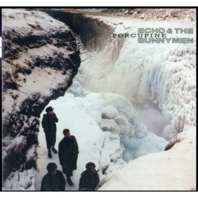 Echo & The Bunnymen - Porcupine LP – Hledejceny.cz