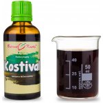 Pavlovy bylinné kapky Bylinné kapky Kostival tinktura 50 ml – Hledejceny.cz