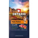 Ontario Puppy Medium Lamb & Brown Rice 6,5 kg – Hledejceny.cz
