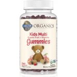 Garden of Life Mykind Organics Multi Gummies Pro Děti 120 kapslí – Hledejceny.cz