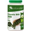 Doplněk stravy na detoxikaci Zdravý den Chlorella BIO 300 tablet