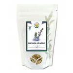 Salvia Paradise Rozrazil lékařský nať 1 kg – Sleviste.cz