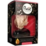 Brait Magická květina vůně růží 75 ml – Zboží Dáma